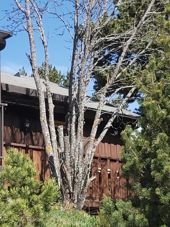 Chalet De L Ours Bolquere Pyrenees 2000 Екстериор снимка