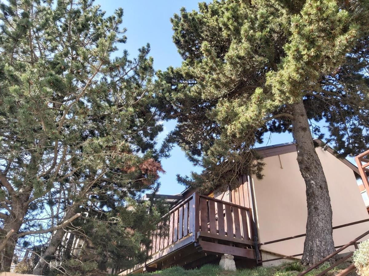 Chalet De L Ours Bolquere Pyrenees 2000 Екстериор снимка